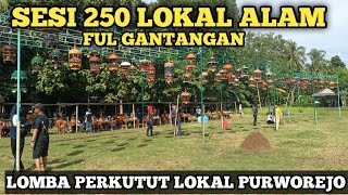 Download lagu LOMBA PERKUTUT LOKAL SI KEMPLONG PURWOREJO JAWA TENGAH,Sesi lokal 250 poin mp3 Download lagu LOMBA PERKUTUT LOKAL SI KEMPLONG PURWOREJO JAWA TENGAH,Sesi lokal 250 poin mp3