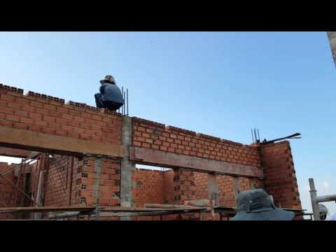 Khảo sát chim yến tại thị xã Dĩ An - Bình Dương