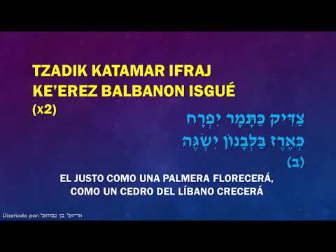 Yosef Karduner   Tzaddik KaTamar   El justo florecera