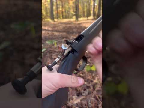 Crickett Rifle, Everyone’s Favorite Small .22 Rifle