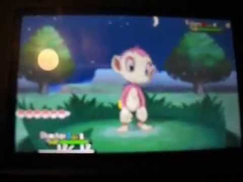 Shiny Chimchar MM In Pokemon Y After 49 Eggs.