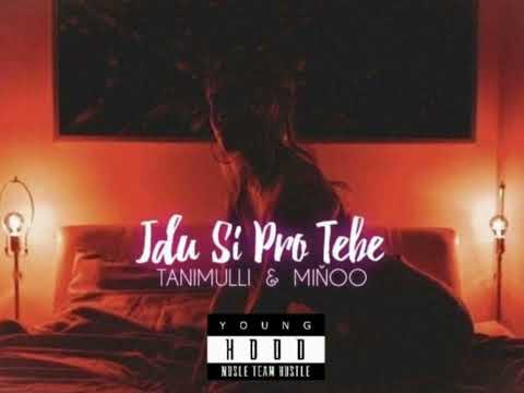 TANIMULLI & MIŇOO - JDU SI PRO TEBE