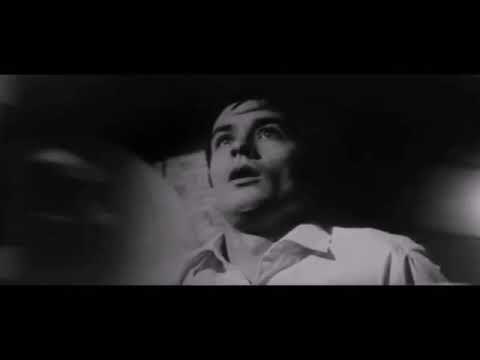 ALAIN DELON MODERN STYLE (FRANCOISE HARDY & ALAIN DELON)