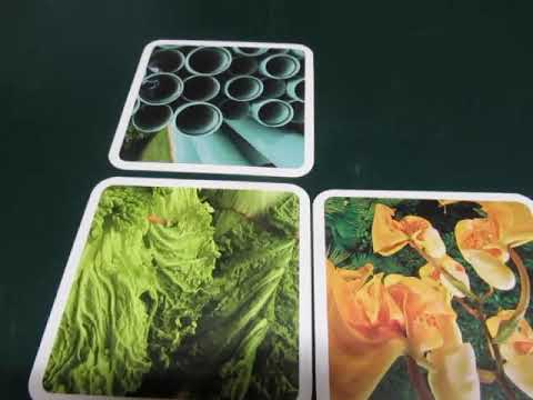 Ouisi game instructional video-warning hand-held camera 