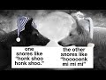 SLEEP INSTANTLY HONK SHOO BIG FAST Fire Crackling Crickets And Delicate Notes