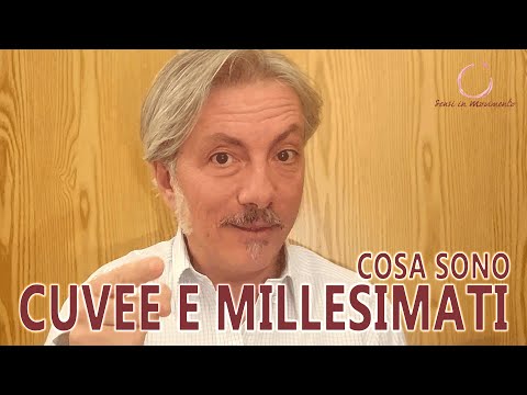 CUVÉES AND VINTAGES: WHAT ARE THEY?