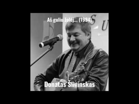 Donatas Šlivinskas – Aš Guliu Žolėj... (Full Album, Lithuanian Eurodisco, 1994)