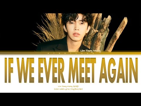 Lim Young Woong | If We Ever Meet Again (color coded lyrics | eng/rom/han) @임영웅 #LimYoungWoong #임영웅