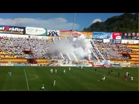 "Entrada Alianza FC" Barra: La Ultra Blanca y Barra Brava 96 &bull; Club: Alianza