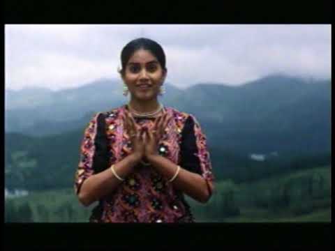 Manasa Veena |  Hrudayanjali | A.R.Rahman | Chitra