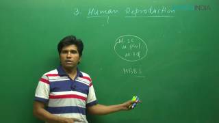 Human Reproduction | NEET Biology Video lectures by Maq Sir | Etoosindia