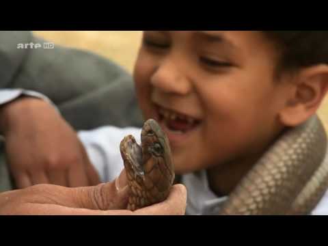 2017! Doku An den Ufern des Nil   Zwischen Wüste und Mittelmeer HD