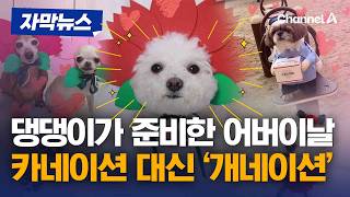 “제가 선물이에요” 카네이션 대신 개네이션 [자막뉴스] / 채널A