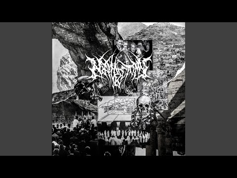 Young Harmony Korine