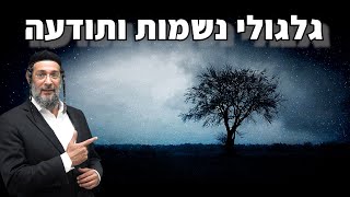 גלגולי נשמות ותודעה - מקורות קדומים על שאלת גלגולי הנשמות - שידור יוצא דופן חובה לכל אחת ואחד
