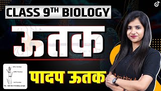 Class 9 Biology Tissues | Part - 1 | Class 9 Science Chapter 6 | Plant Tissue | Class 9 Hindi Medium