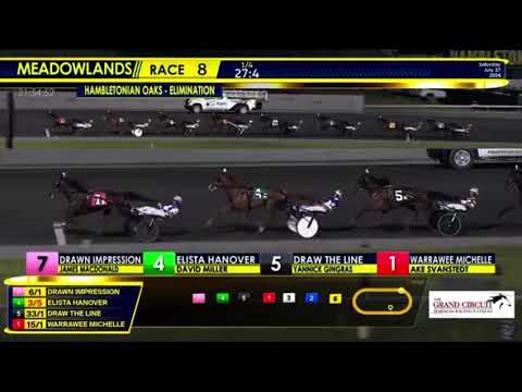 Hambletonian Oaks Elimination 1 2024 - Elista Hanover & David Miller 1.51,3 1609m