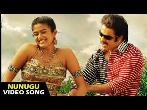 Nunugu meesalodu song || Yamadhonga movie song || NTR & Priyamani 