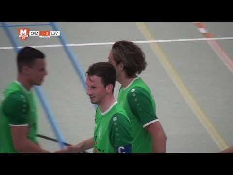 Samenvatting CFM/Transito - LZV/Kuypers H&W 2018/2019