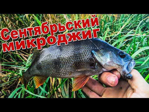 Ловлю щуку и окуня на волшебную приманку | Спиннинг в сентябре | Осенний хищник