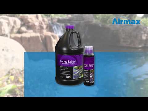 CrystalClear® - Barley Extract