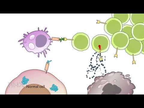 HMX Immunology - Course Preview