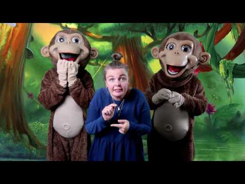 Børnesang med Zik og Zak: Jeg er en lille undulat