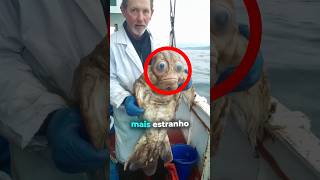 Animais que parecem de outro planeta 👀! #curiosidades