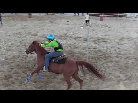 Special Event La Masseria dei Cavalieri  Pistoia