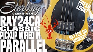 Video thumbnail for Sterling by Music Man Ray24CA wired in Parallel! Why isn't this stock?- LowEndLobster Fresh Look by LowEndLobster