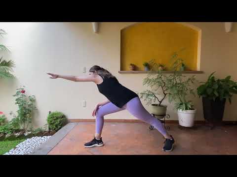 Video donadores horas