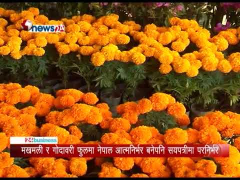 BUSINESS TODAY (2074/6/23)-NEWS 24