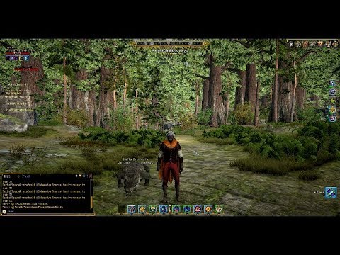 Shroud of the Avatar - Episode 40 - Taming 101