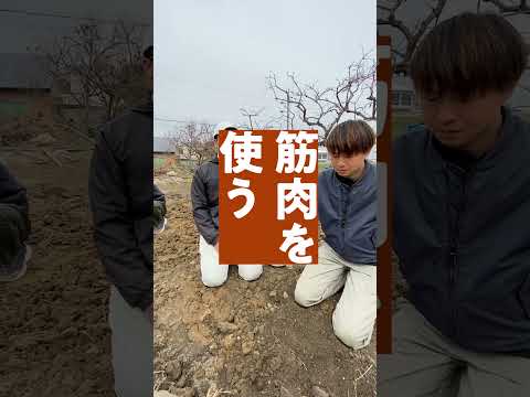 言語文化学科 【奈良大学 文学部 文化財学科】発掘の大変さを教えてもらおう #奈良大学 #奈良 #shorts