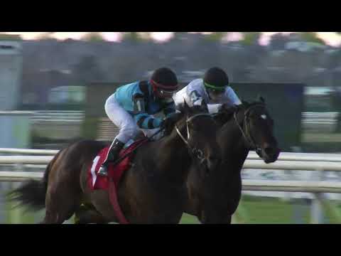 220717 c09 F Etcheverry Vidal/ PALAGIO (BRZ)