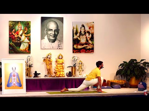 Chakra Konzentration Yogastunde Mittelstufe Yoga Vidya Grundreihe mit Fernando 09:15 Uhr 09.07.2020