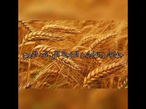 كلمات parole أغنية تراب Trab / حرقة 2 - Noor Selim Arjoun