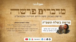 מדברים פרשה: פרשת בשלח - מפחד לאמונה ונצחון (חדשות הקול היהודי) - התמונה מוצגת ישירות מתוך אתר האינטרנט יוטיוב. זכויות היוצרים בתמונה שייכות ליוצרה. קישור קרדיט למקור התוכן נמצא בתוך דף הסרטון מדברים פרשה: פרשת בשלח - מפחד לאמונה ונצחון (חדשות הקול היהודי) - התמונה מוצגת ישירות מתוך אתר האינטרנט יוטיוב. זכויות היוצרים בתמונה שייכות ליוצרה. קישור קרדיט למקור התוכן נמצא בתוך דף הסרטון