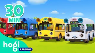 ¿De qué color es este autobús? | Aprende los colores con carros | Hogi en español