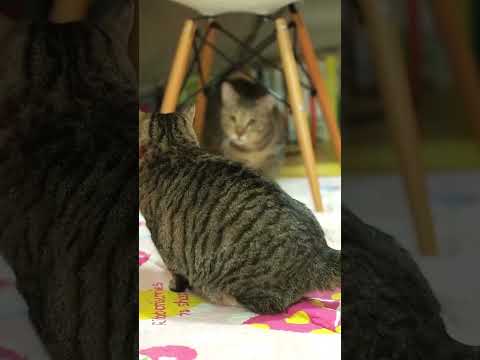 2013.02.09. 첫만남