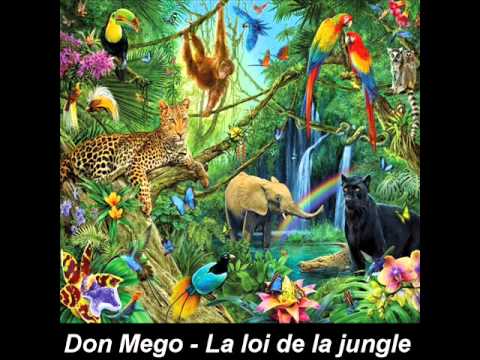 Don Mego - La Loi de la Jungle (MIx Ragga Jungle / Drum and Bass)