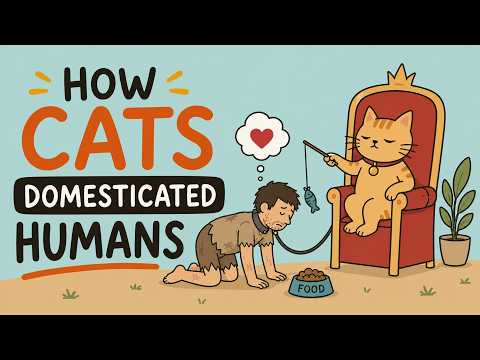 Cats Domesticated Humans. We Just Let It Happen.