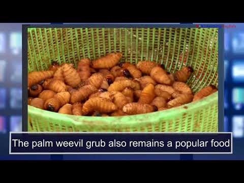 ニュースワード。機会 (News Words: Opportunity)