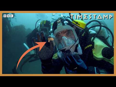 Excavating The Remains Of A 3,000-Year-Old Shipwreck | Bbc Timestamp