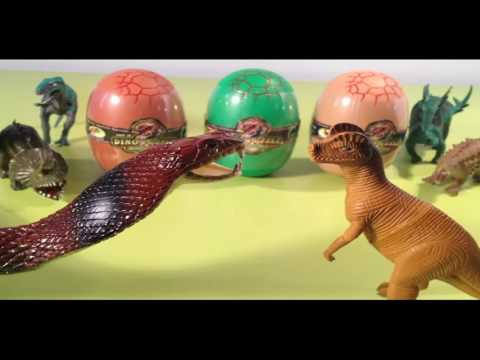 Lisa Hofmann (AUT) 2015 Austrian National Championships - Ball