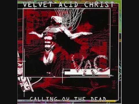 velvet acid christ  -  timeless visions