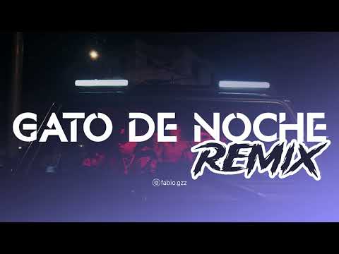 GATO DE NOCHE - RKT - Fabio Gonzalez