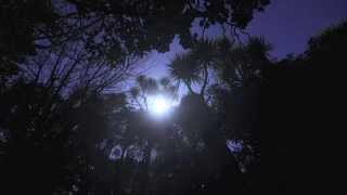 BLUE MOON WITH THE MAVERICKS.