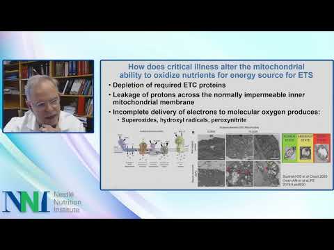 The Role of Nutrition Care In Mitochondrial Health