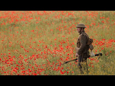 Letters Home - Remembrance 2022